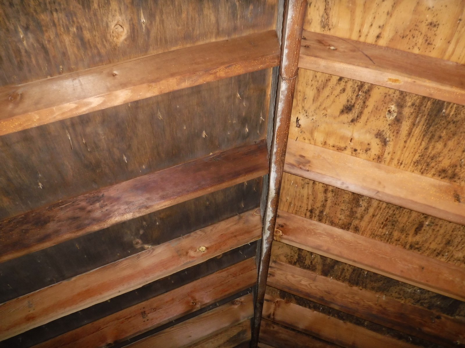 Attic mold removal Fairfield County CT